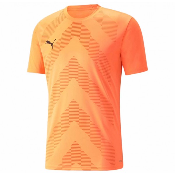 Футболка  Puma teamGLORY Jersey  